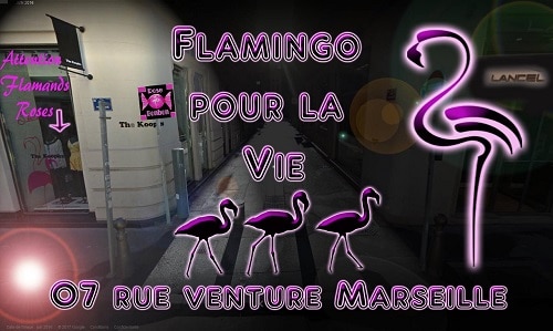 flamingo-rencontre-trav-marseille